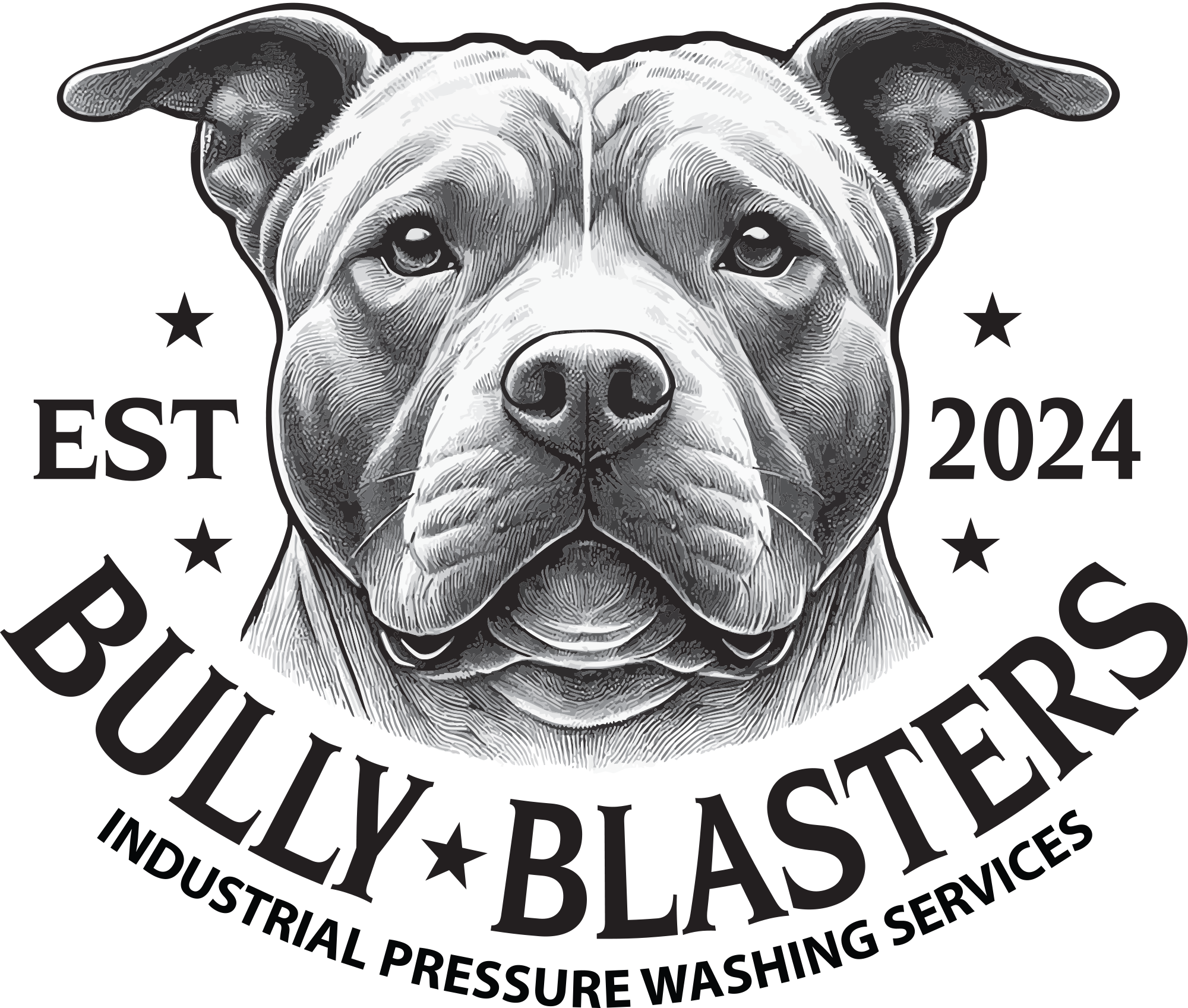 Bully Blasters Industrial Pressure Washing Services